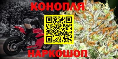СК Малгобек