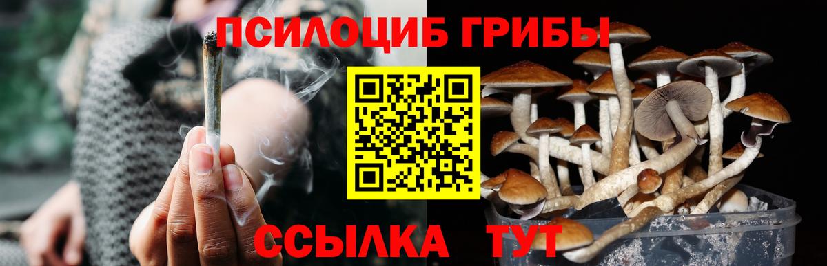 Псилоцибиновые грибы Cubensis Грязи